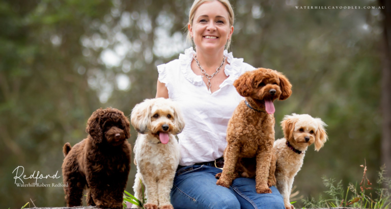 Redford for OSF 4 768x410