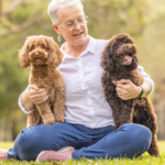 wishbone creek harry 150x150