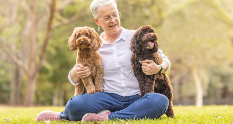 wishbone creek harry 768x410