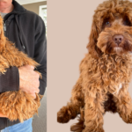 wishbone creek milo 3 150x150