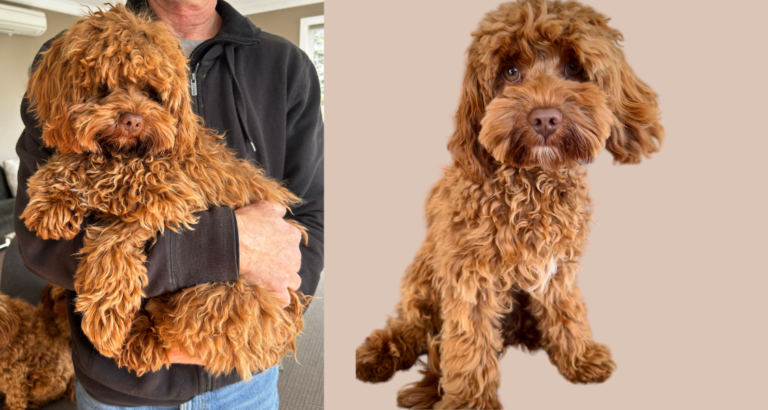 wishbone creek milo 3 768x410